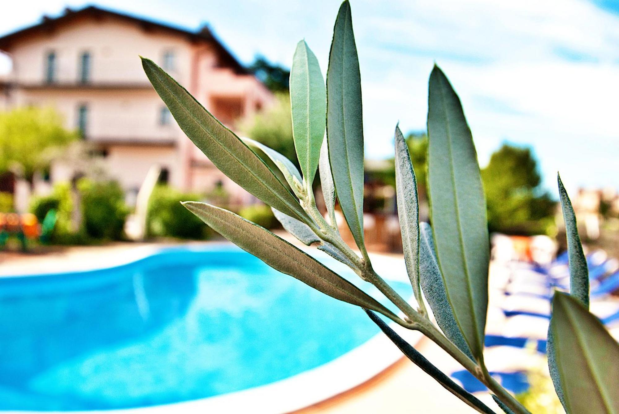 Aparthotel Bellavista