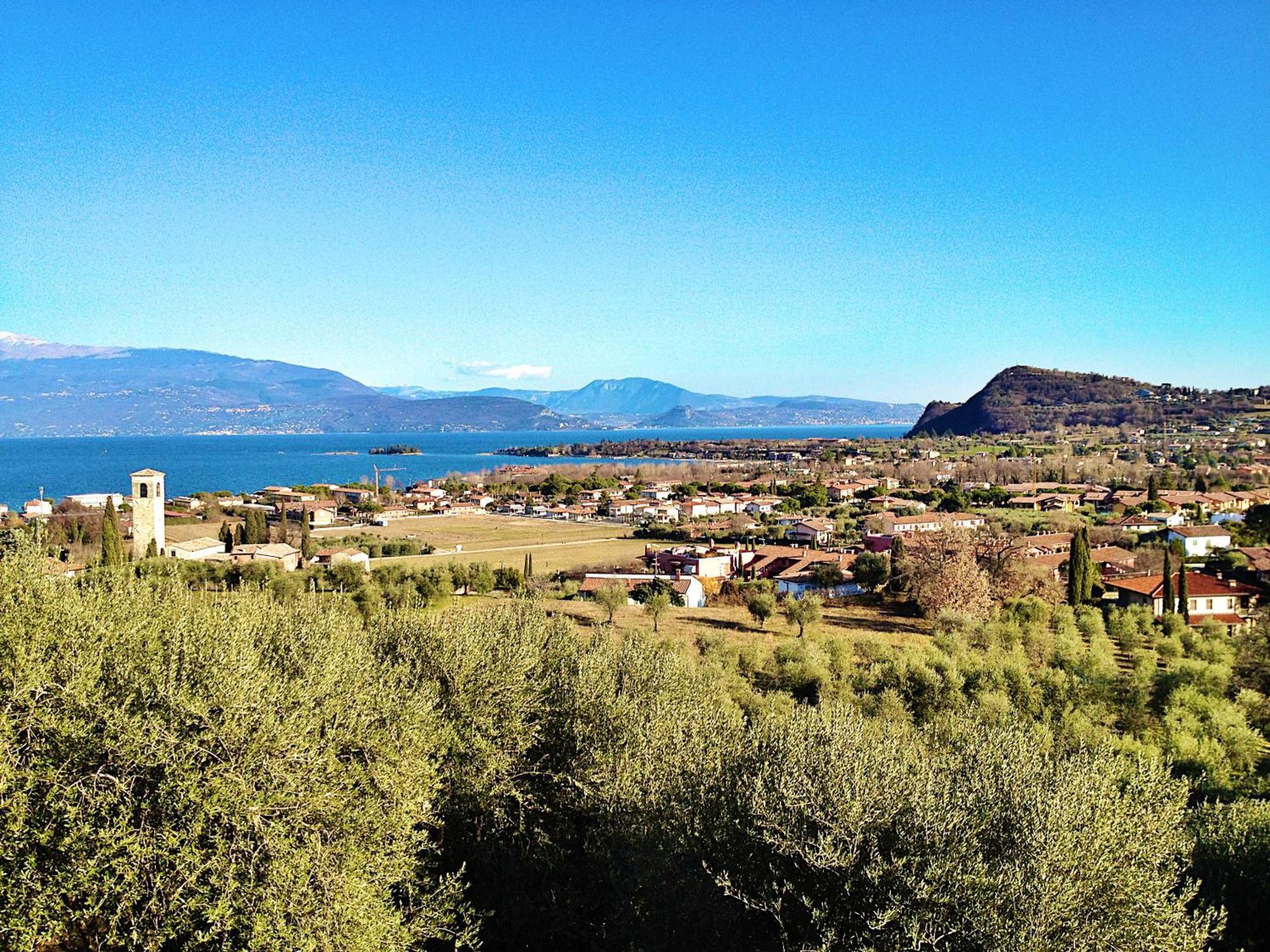 Bellavista