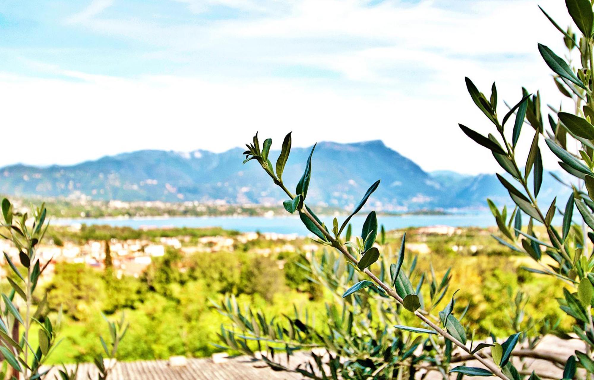 Aparthotel Bellavista Manerba del Garda