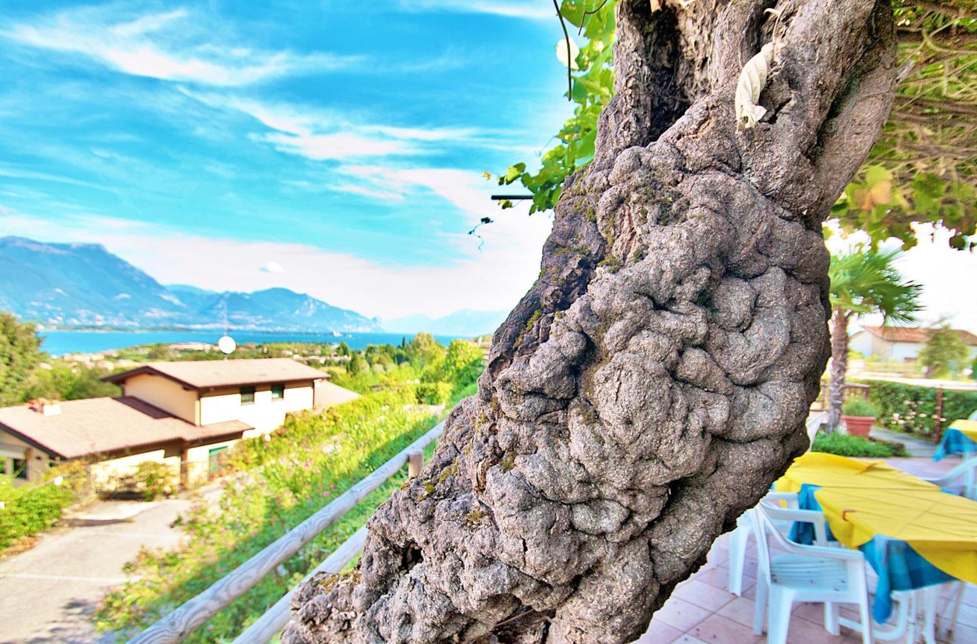 Bellavista Manerba del Garda